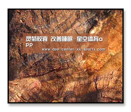 灵菊胶囊 改善睡眠-星空体育app
