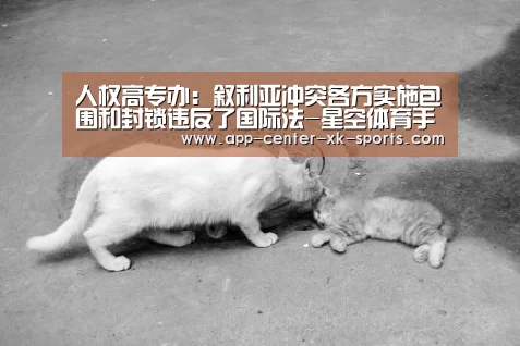 人权高专办：叙利亚冲突各方实施包围和封锁违反了国际法-星空体育手机版