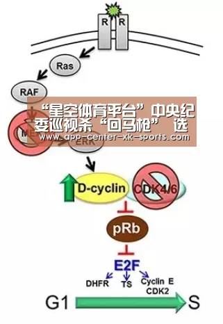 “星空体育平台”中央纪委巡视杀“回马枪”　   选取省份很精准